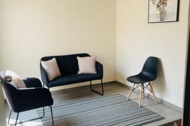 sala de estar tapete sillas cojines decoración cuadro moderno 